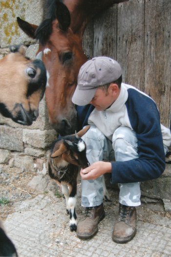 Wammes and goats at home