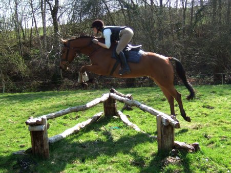 horse jumping xc fence (passepartout)
