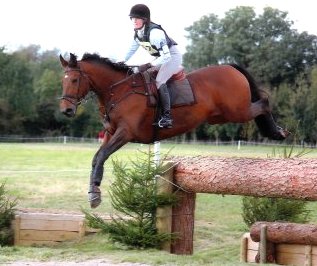 Horse (wammes)competes BE 100 UK