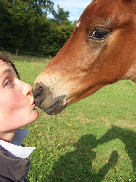 Kissing pony at home