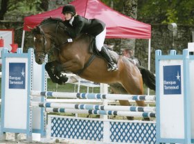 horse (mauvaise herbe) show jumping at 5yo champs france