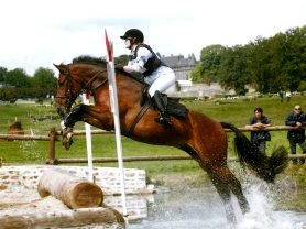 horse jumping at Pompadour young horse championships (Mauvaise Herbe)