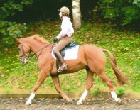 Earnest note doing flatwork at home