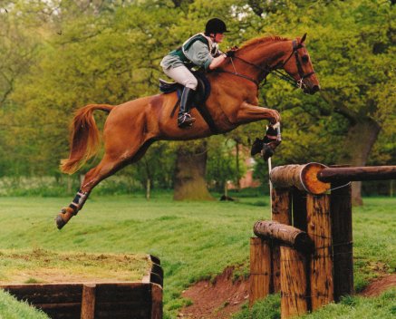 Tha Aspiranto jumps and wins at Ragley hall