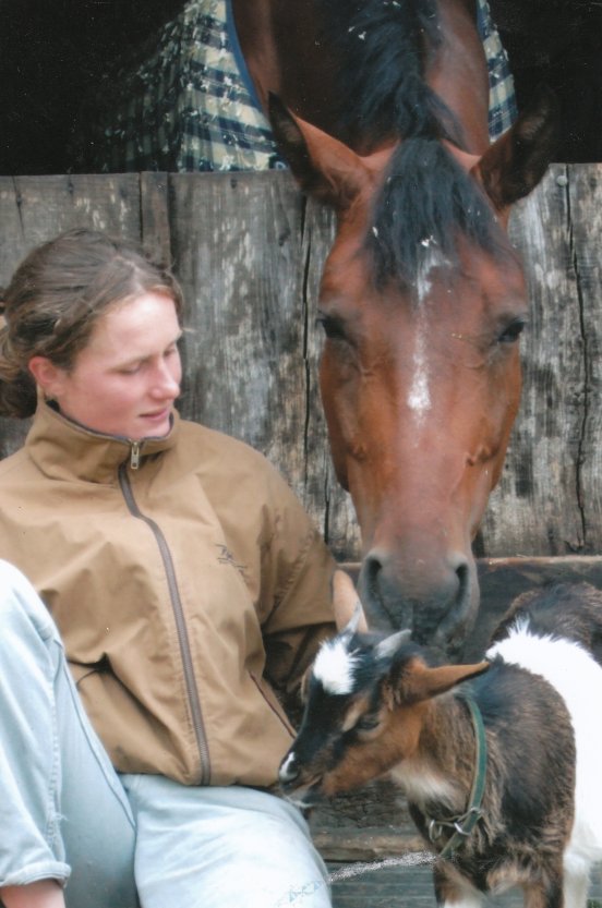 I stroke horse, Herby and goat