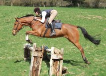 Horse jumping xc fence Passepartout